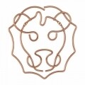 Декоративна опора за стена Lion, Metaltex, 27 x 30 cm, неръждаема стомана, мед