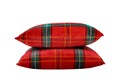 Комплект Alcam cocolino, 2 възглавници 50x70 см и юрган 200x220 см, Xmas Fleece