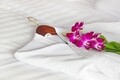 Халат за SPA, Hotel Line Bedora, универсален размер, 100% памук, 220 гр/м2, бял