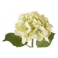 Изкуствени цветя, Hydrangea Gioiosa, Bizzotto, 52 см, зелени